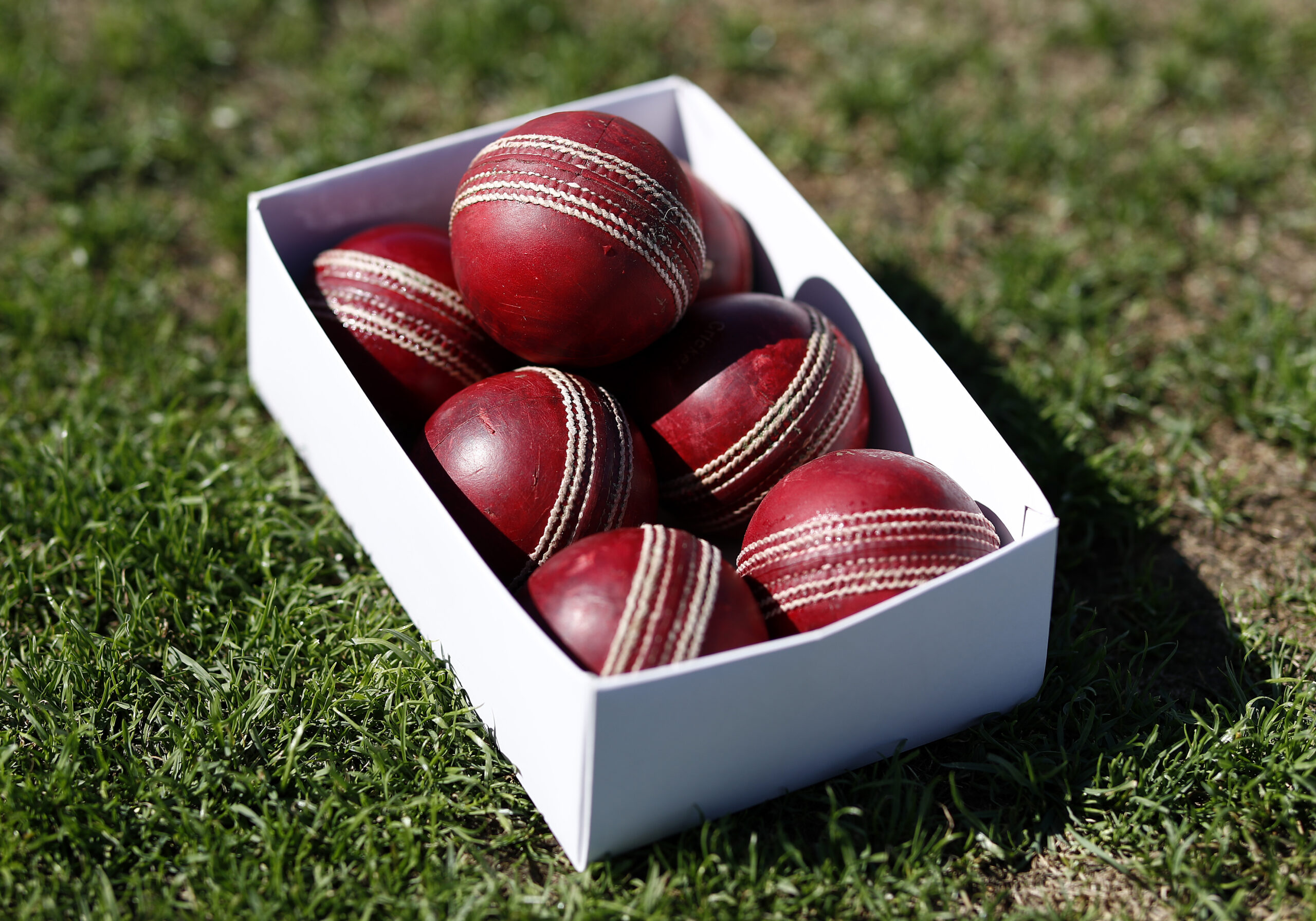 Cricket Balls